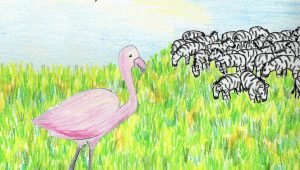 'Gracie and the Zebra Herd' by Anna Pederson